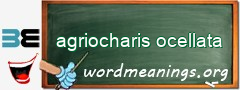 WordMeaning blackboard for agriocharis ocellata